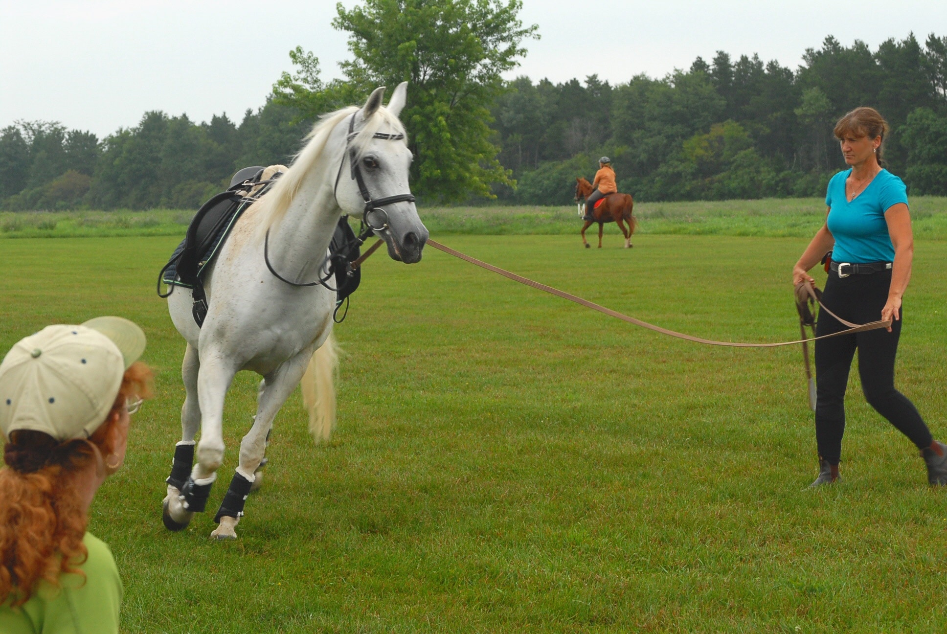 Lunging Alignment