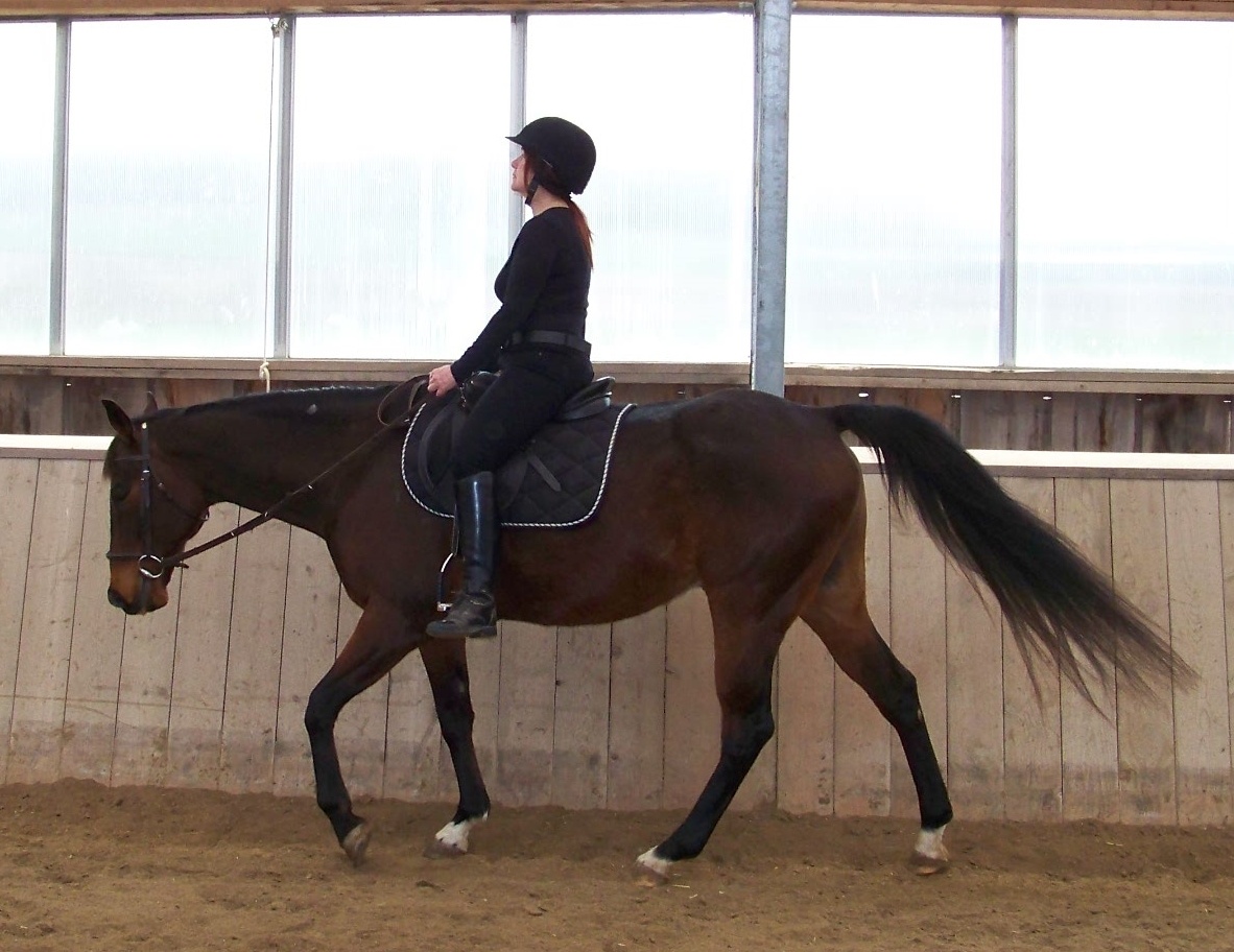 Poor rider position can stop your horse from moving forward willingly