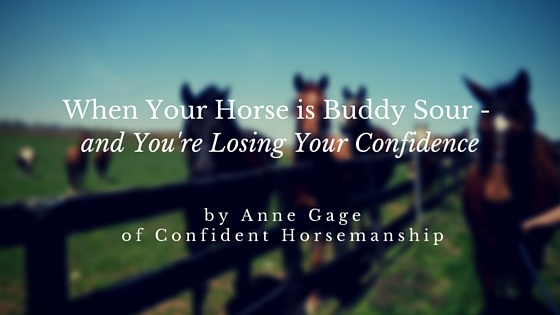 When Your Horse is Buddy Sour and Your Losing Your Confidence