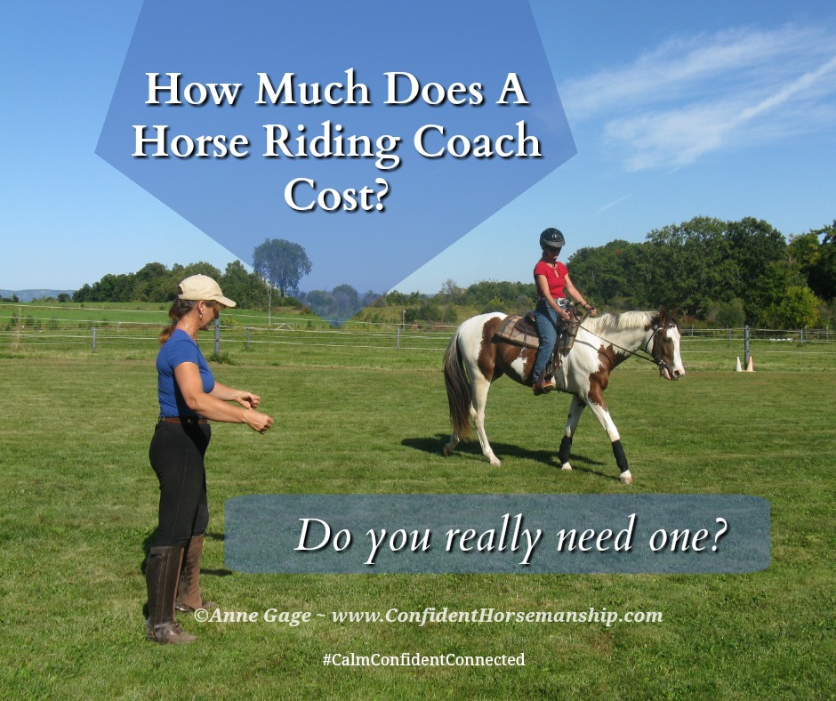 Horse Riding Cost Uk