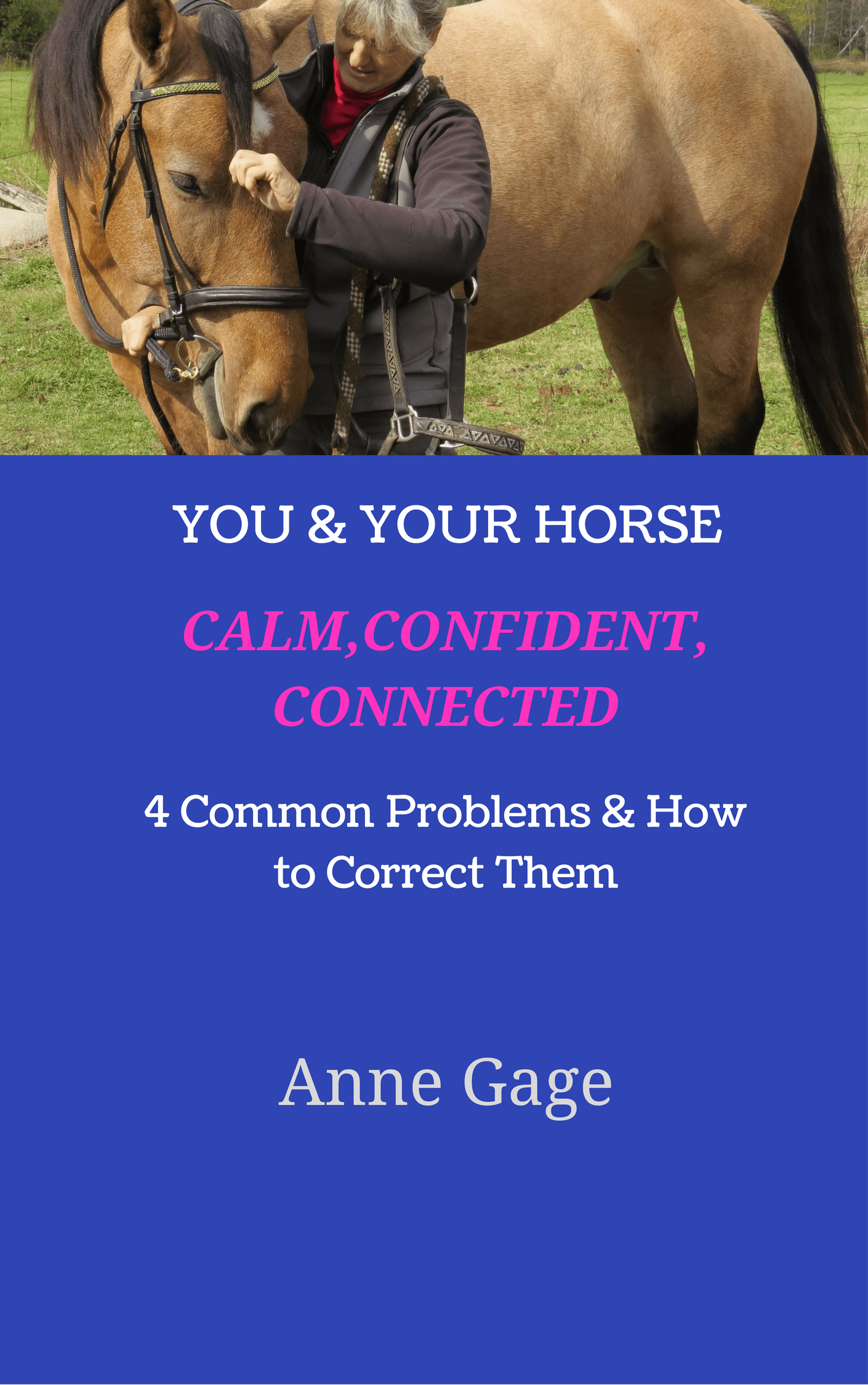 4 Common Horse Training Problems and How To Correct Them