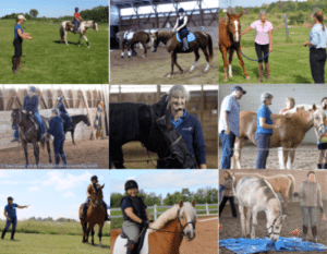 Pictures from Anne Gage Confident Horsemanship Clinics