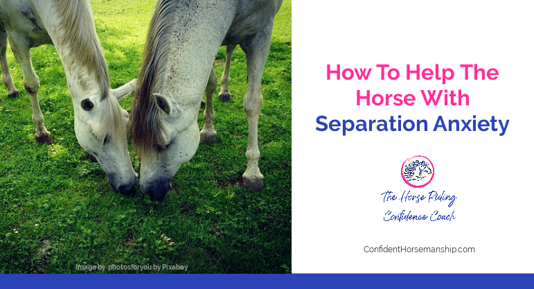 How To Help The Horse With Separation Anxiety