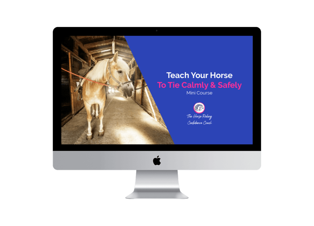 Teach Horse To Tie Calmly and Safely Mini Course