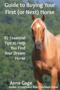 Guide To Buying Your First (or next) Horse: 92 essential tips to help you find your dream horse