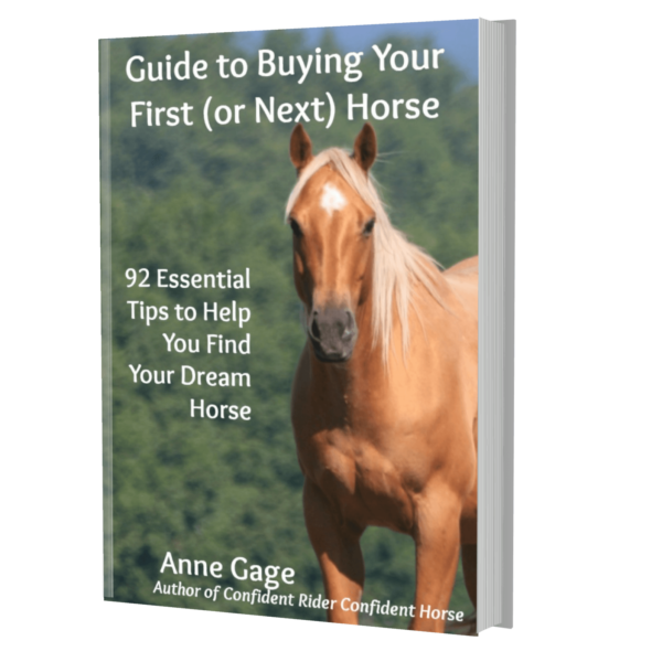 Picture of Guide To Buying Your First (or Next) Horse book