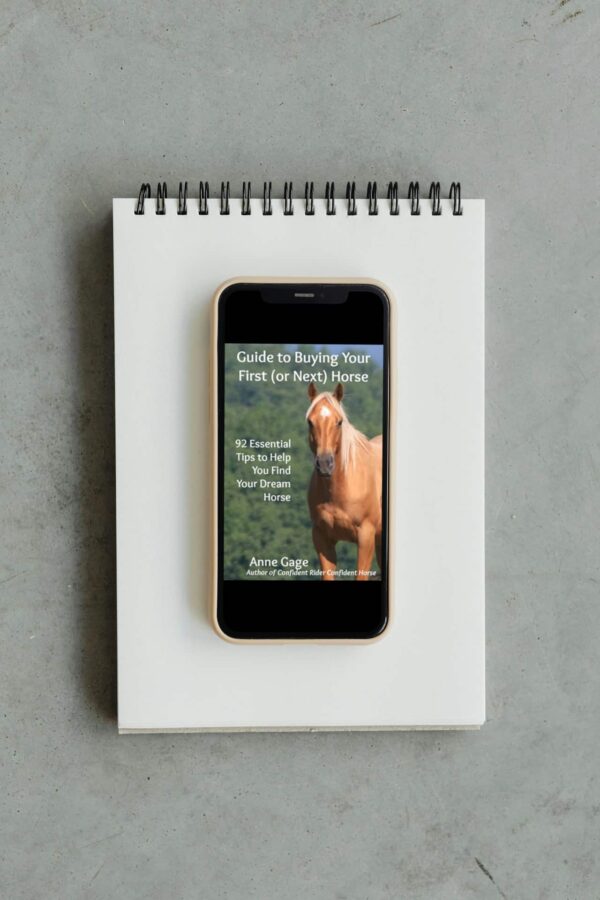 Guide to Buying Your First (or next) Horse displayed on smartphone on top of note pad