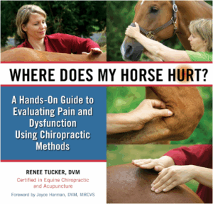 Where Does My Horse Hurt by Renee Tucker DVM