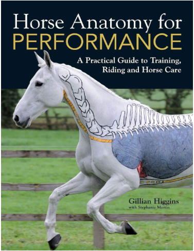 Horse Anatomy for Performance by Gillian Higgins