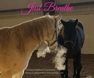 Confident Rider Tip - Breathe 1 Just Breathe